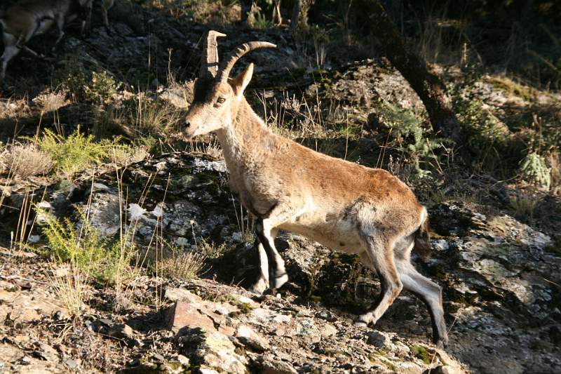 SPANJE 2011 - 434